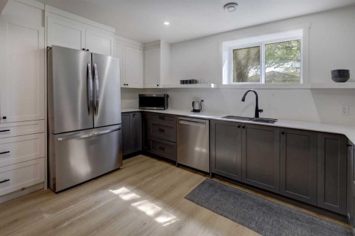 3419 Morley Trail Nw, Calgary, AB - Indoor Photo Showing Kitchen With Double Sink