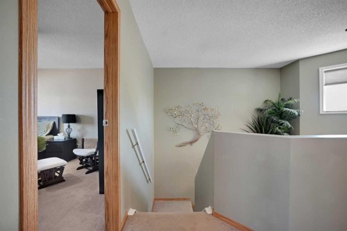 19 Coventry Link Ne, Calgary, AB 
