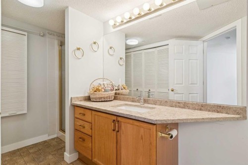 1213-1213 Sienna Park Green Sw, Calgary, AB - Indoor Photo Showing Bathroom