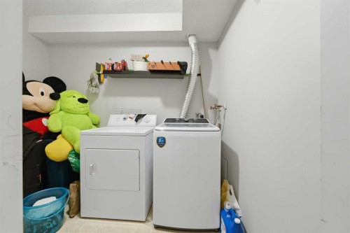 102-611 67 Avenue Sw, Calgary, AB - Indoor Photo Showing Laundry Room