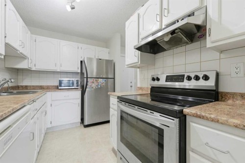 102-611 67 Avenue Sw, Calgary, AB - Indoor Photo Showing Kitchen With Double Sink