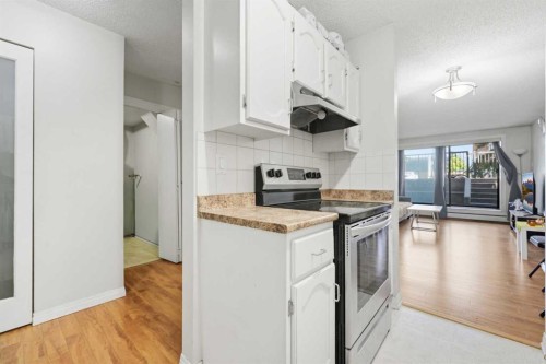 102-611 67 Avenue Sw, Calgary, AB - Indoor Photo Showing Kitchen