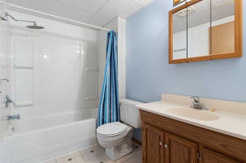 40 Mt Assiniboine Circle Se, Calgary, AB - Indoor Photo Showing Bathroom