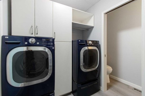 40 Mt Assiniboine Circle Se, Calgary, AB - Indoor Photo Showing Laundry Room