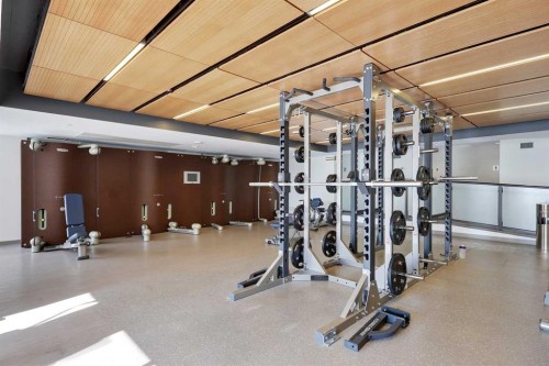 3407-1122 3 Street Se, Calgary, AB - Indoor Photo Showing Gym Room