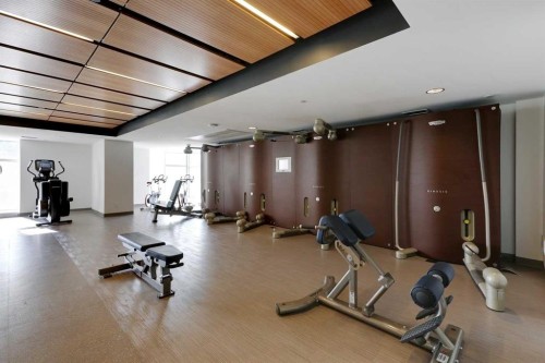 3407-1122 3 Street Se, Calgary, AB - Indoor Photo Showing Gym Room