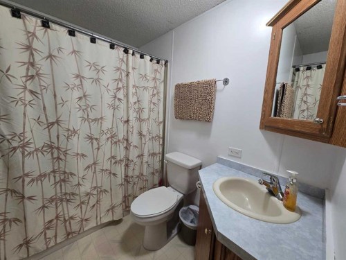 5A-6101 20 Avenue, Coleman, AB - Indoor Photo Showing Bathroom