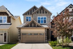 158 Skyview Point Crescent NE Calgary, AB T3N 1B6