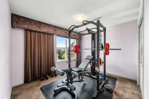 158 Skyview Point Crescent Ne, Calgary, AB 
