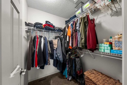 158 Skyview Point Crescent Ne, Calgary, AB 