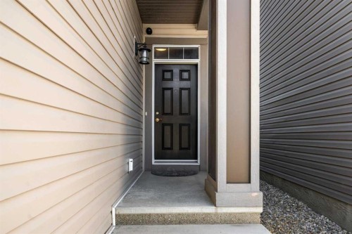 158 Skyview Point Crescent Ne, Calgary, AB 