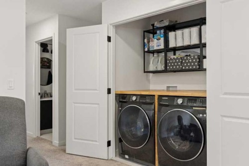 20 Wolf Creek Street Se, Calgary, AB - Indoor Photo Showing Laundry Room