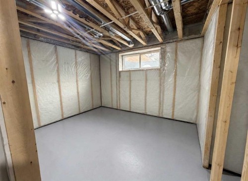 20 Wolf Creek Street Se, Calgary, AB - Indoor Photo Showing Basement