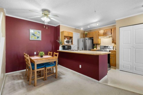 4-203 Grier Terrace Ne, Calgary, AB 