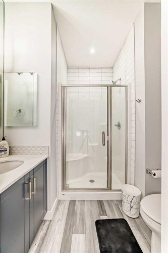 123 Red Sky Crescent Ne, Calgary, AB - Indoor Photo Showing Bathroom