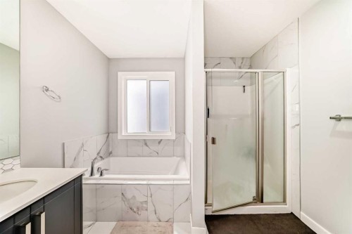 123 Red Sky Crescent Ne, Calgary, AB - Indoor Photo Showing Bathroom