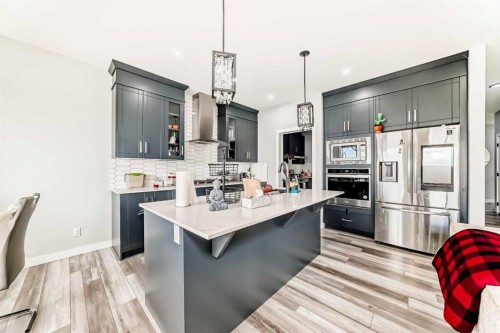 123 Red Sky Crescent Ne, Calgary, AB - Indoor Photo Showing Kitchen With Upgraded Kitchen