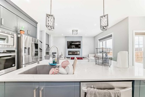 123 Red Sky Crescent Ne, Calgary, AB - Indoor Photo Showing Kitchen With Upgraded Kitchen