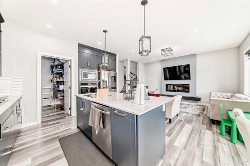 123 Red Sky Crescent Ne, Calgary, AB - Indoor Photo Showing Kitchen With Upgraded Kitchen
