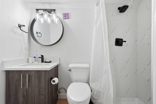 58 Taraglen Road Ne, Calgary, AB - Indoor Photo Showing Bathroom
