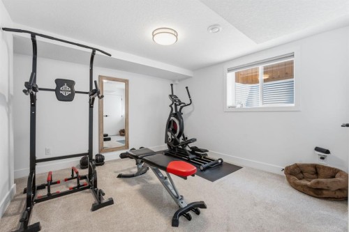 87 Armstrong Crescent Se, Calgary, AB - Indoor Photo Showing Gym Room