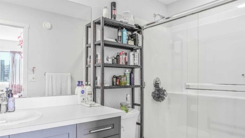 100 Carringvue Way Nw, Calgary, AB - Indoor Photo Showing Bathroom