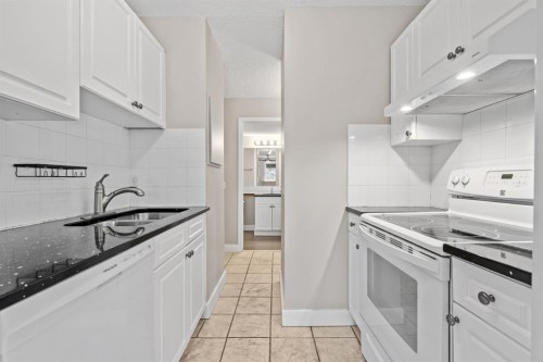 201-626 2 Avenue Ne, Calgary, AB - Indoor Photo Showing Kitchen With Double Sink