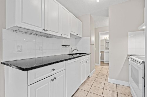 201-626 2 Avenue Ne, Calgary, AB - Indoor Photo Showing Kitchen