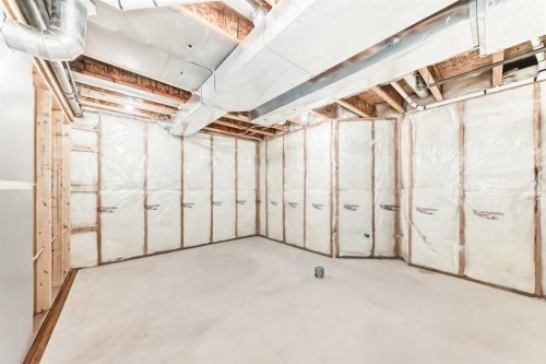 40 Tuscany Vista Crescent Nw, Calgary, AB - Indoor Photo Showing Basement