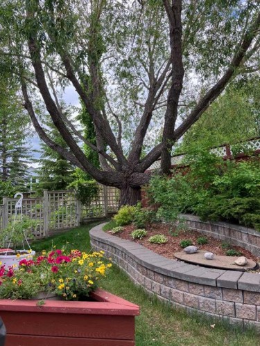 123 Tuscany Hills Park Nw, Calgary, AB 