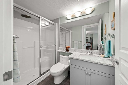 114-30 Cranfield Link Se, Calgary, AB - Indoor Photo Showing Bathroom