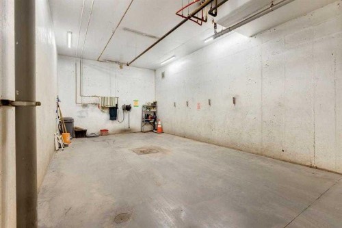 114-30 Cranfield Link Se, Calgary, AB - Indoor Photo Showing Garage