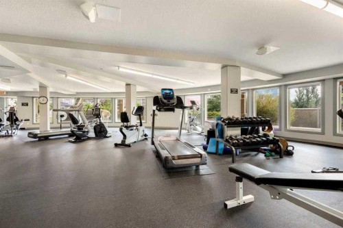 114-30 Cranfield Link Se, Calgary, AB - Indoor Photo Showing Gym Room