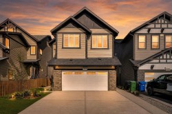 379 Skyview Shores Manor NE Calgary, AB T3N 0H4