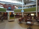 4825 Mount Royal Gate, Calgary, AB 