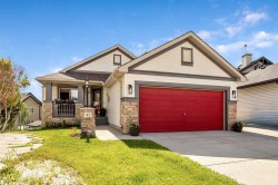 43 Cimarron Park Green Okotoks, AB T1S 2K2