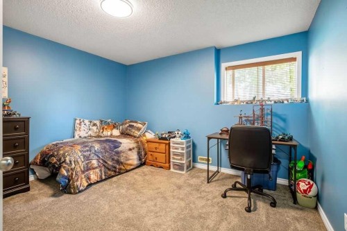 43 Cimarron Park Green, Okotoks, AB 