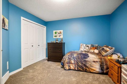 43 Cimarron Park Green, Okotoks, AB 