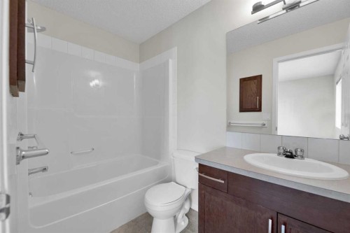 191 Cranberry Green Se, Calgary, AB - Indoor Photo Showing Bathroom