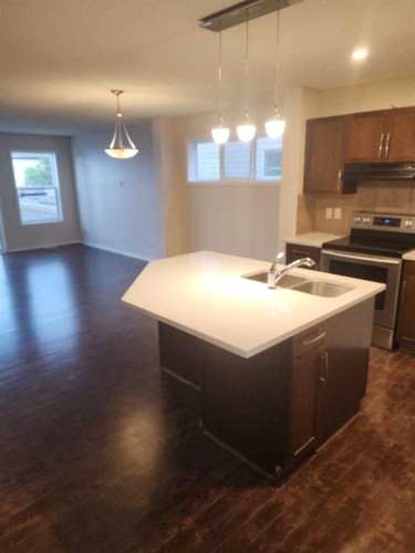 191 Cranberry Green Se, Calgary, AB - Indoor Photo Showing Kitchen With Double Sink