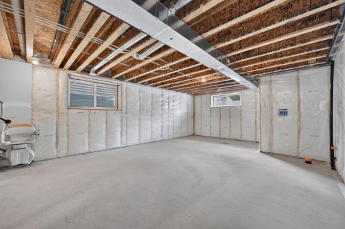 156 Belmont Boulevard Sw, Calgary, AB - Indoor Photo Showing Basement