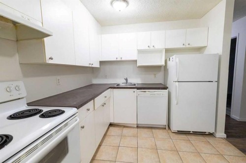 216 Doverglen Crescent Se, Calgary, AB 