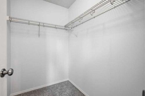 77 Elgin Gardens Se, Calgary, AB 