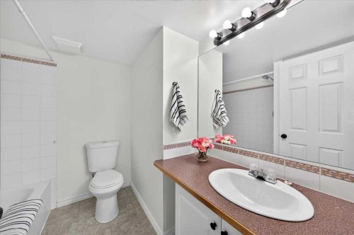 202-6148 Bowness Road Nw, Calgary, AB - Indoor Photo Showing Bathroom