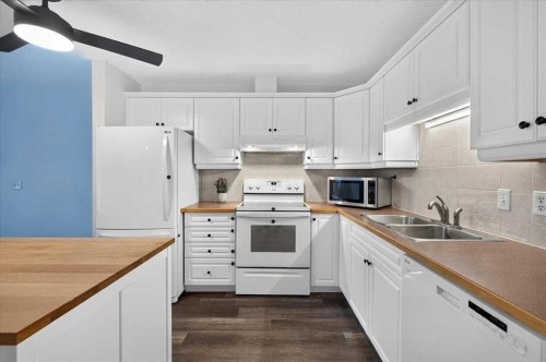 202-6148 Bowness Road Nw, Calgary, AB - Indoor Photo Showing Kitchen With Double Sink