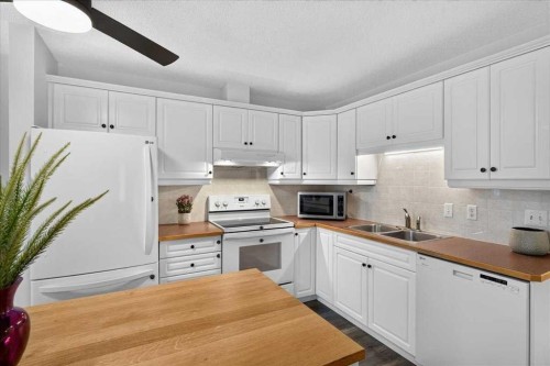 202-6148 Bowness Road Nw, Calgary, AB - Indoor Photo Showing Kitchen With Double Sink