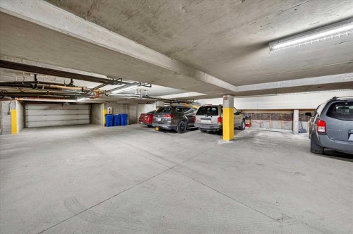 202-6148 Bowness Road Nw, Calgary, AB - Indoor Photo Showing Garage