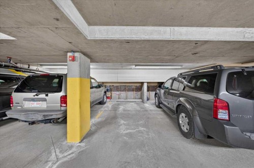 202-6148 Bowness Road Nw, Calgary, AB - Indoor Photo Showing Garage