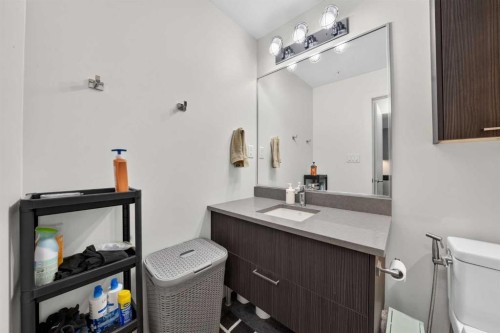 305-624 8 Avenue Se, Calgary, AB - Indoor Photo Showing Bathroom