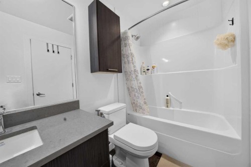 305-624 8 Avenue Se, Calgary, AB - Indoor Photo Showing Bathroom
